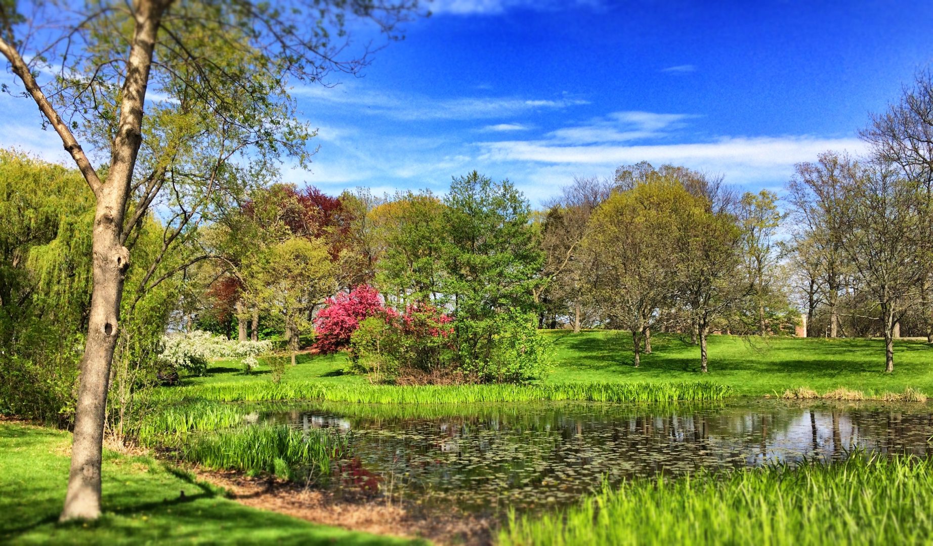 Humboldt Park’s Waters Are A Reflection Of A Rich Eco-History