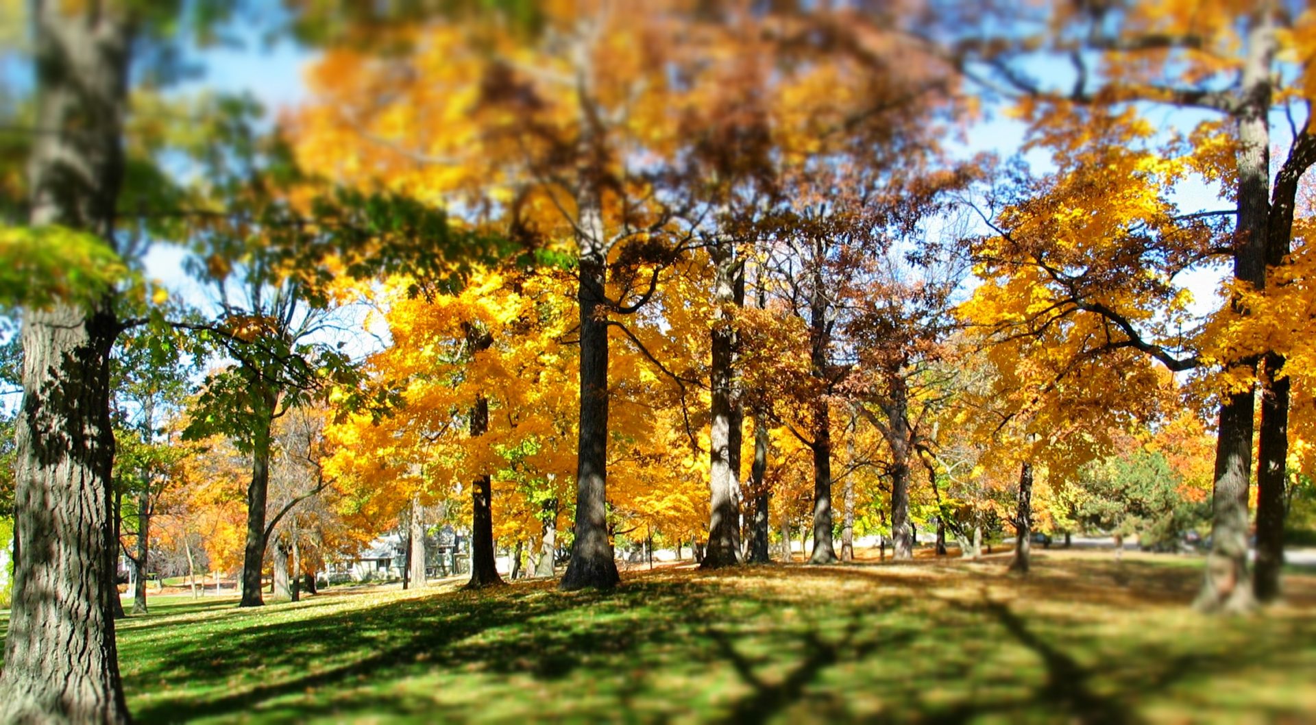 Park Land Zoning