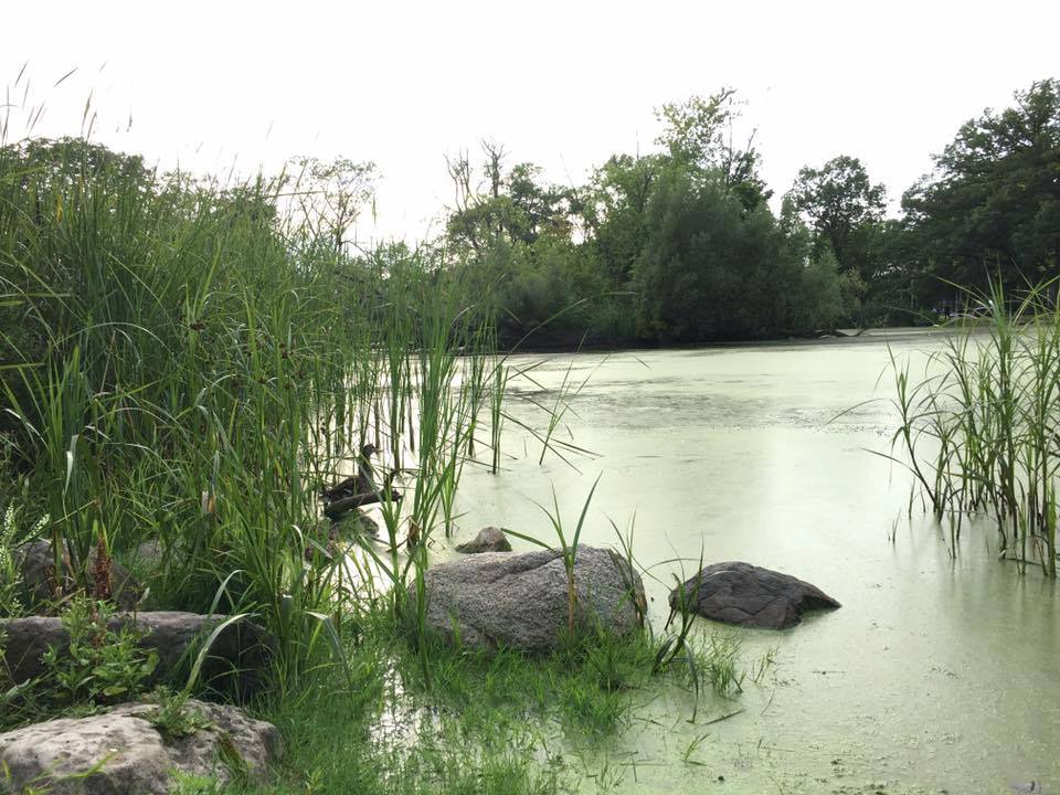 Lagoon Phase One