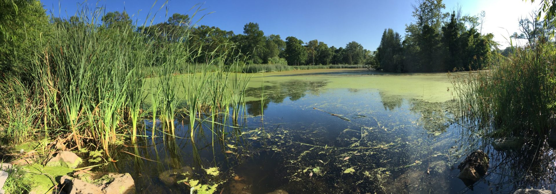 Lagoon Restoration Fund