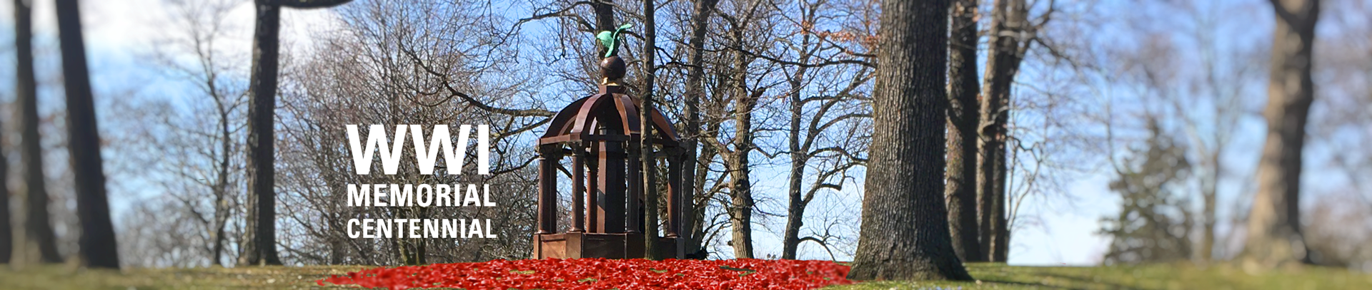 500 Students to Honor 22 Area Soldiers Killed in World War I By Planting Poppies in Humboldt Park on Friday, Nov. 9