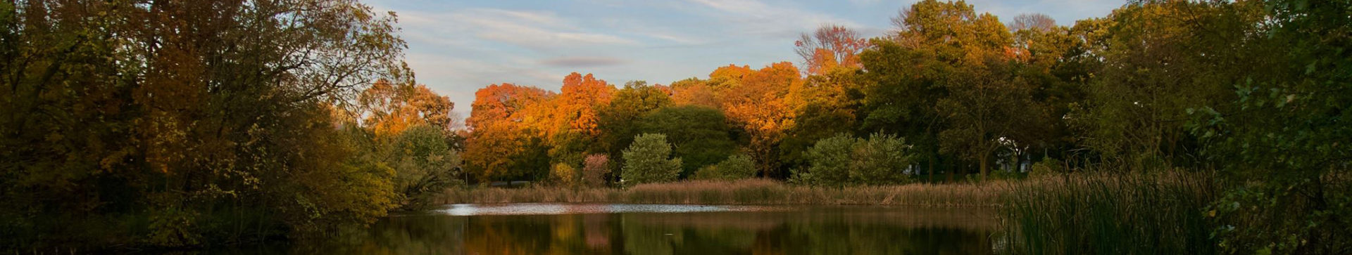 Humboldt Park Friends 2019 Annual Report