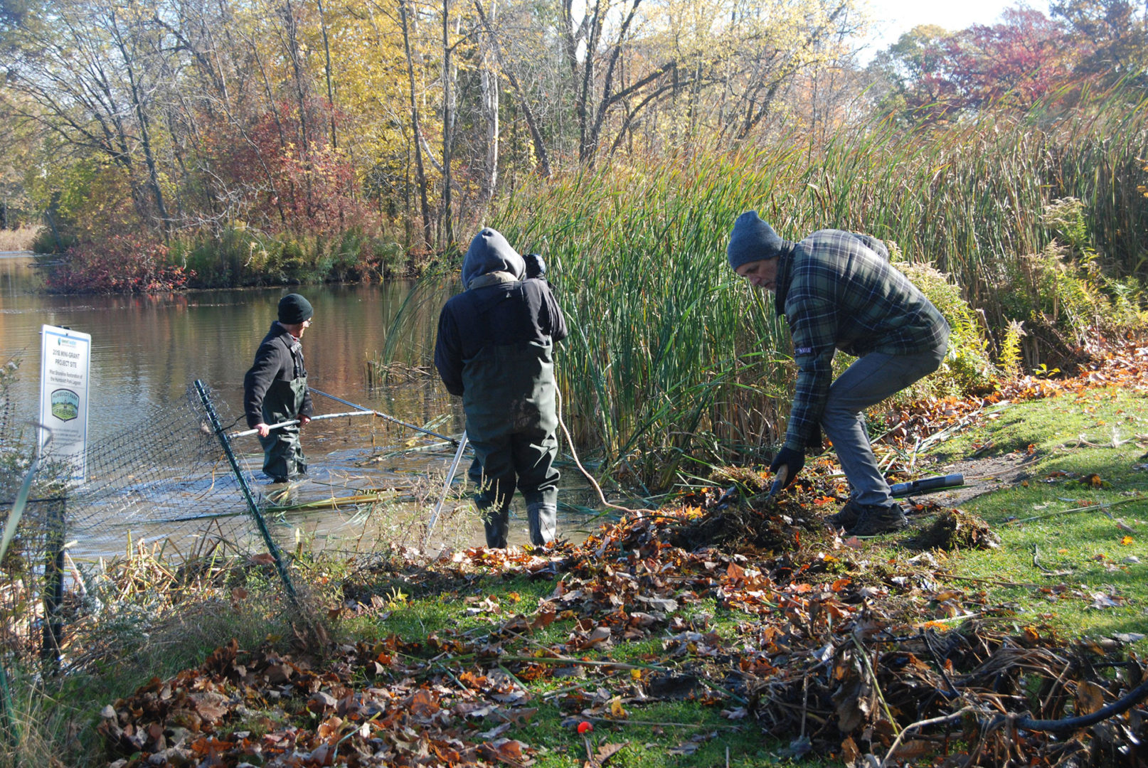 Humboldt Park Friends Volunteers maintain lagoon shoreline
