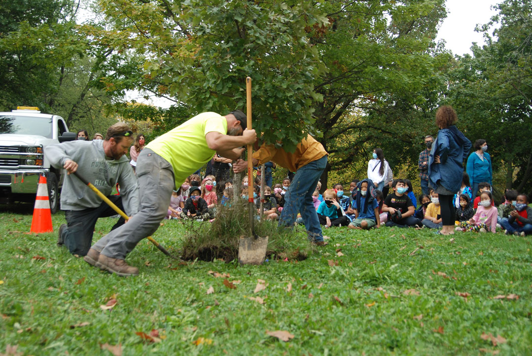 Tree Day