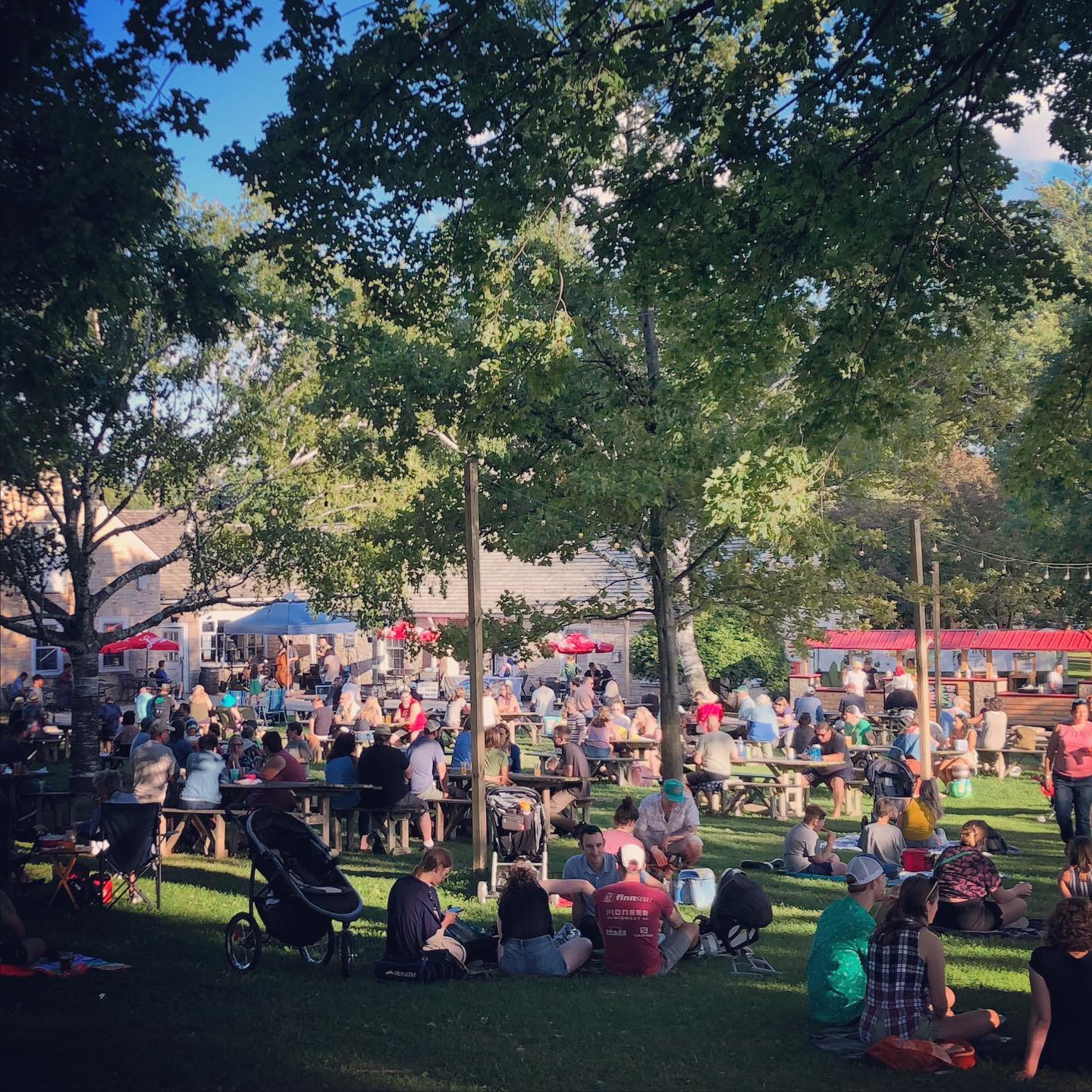 We are celebrating the inaugural year of Jazz At The Vine!