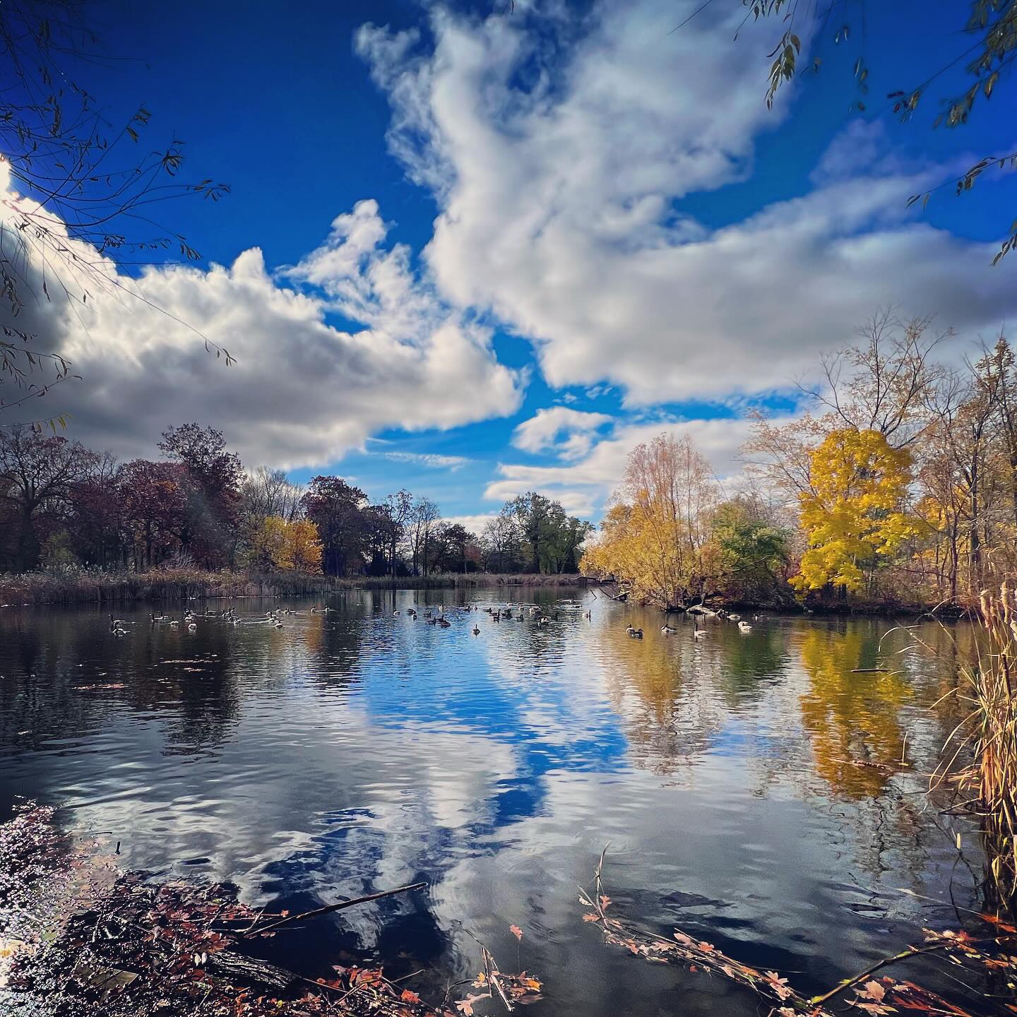 Humboldt Park Friends 2023 Annual Report